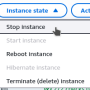 stopinstance.png